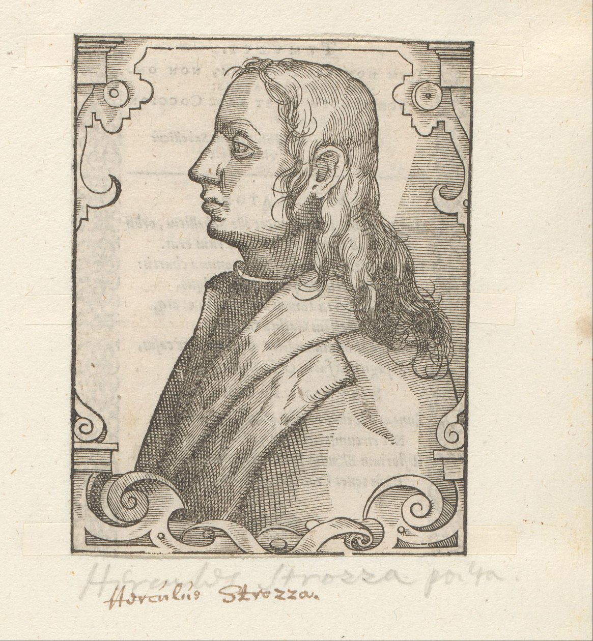 Portree van Ercole Strozzi tekijältä Anonymous