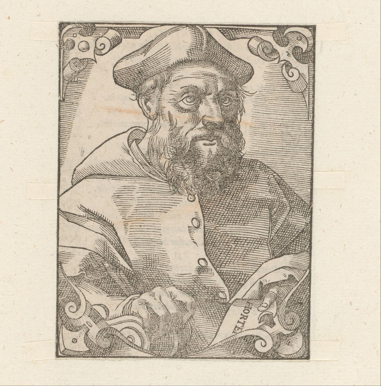 Portret van Jacopo Sadoleto tekijältä Anonymous