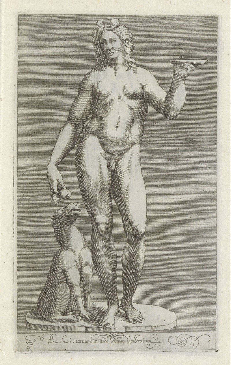 Sculptuur van Bacchus en een hond Bacchus ja marmori Vallensin palatsin alueella (otsikko esineessä) Antiikkiveistoksia Roomassa (sarjan nimi) Ikonit Rooman kaupungin muinaisista patsaista, joita nähdään julkisilla paikoilla (sarjan nimi) tekijältä Anonymous