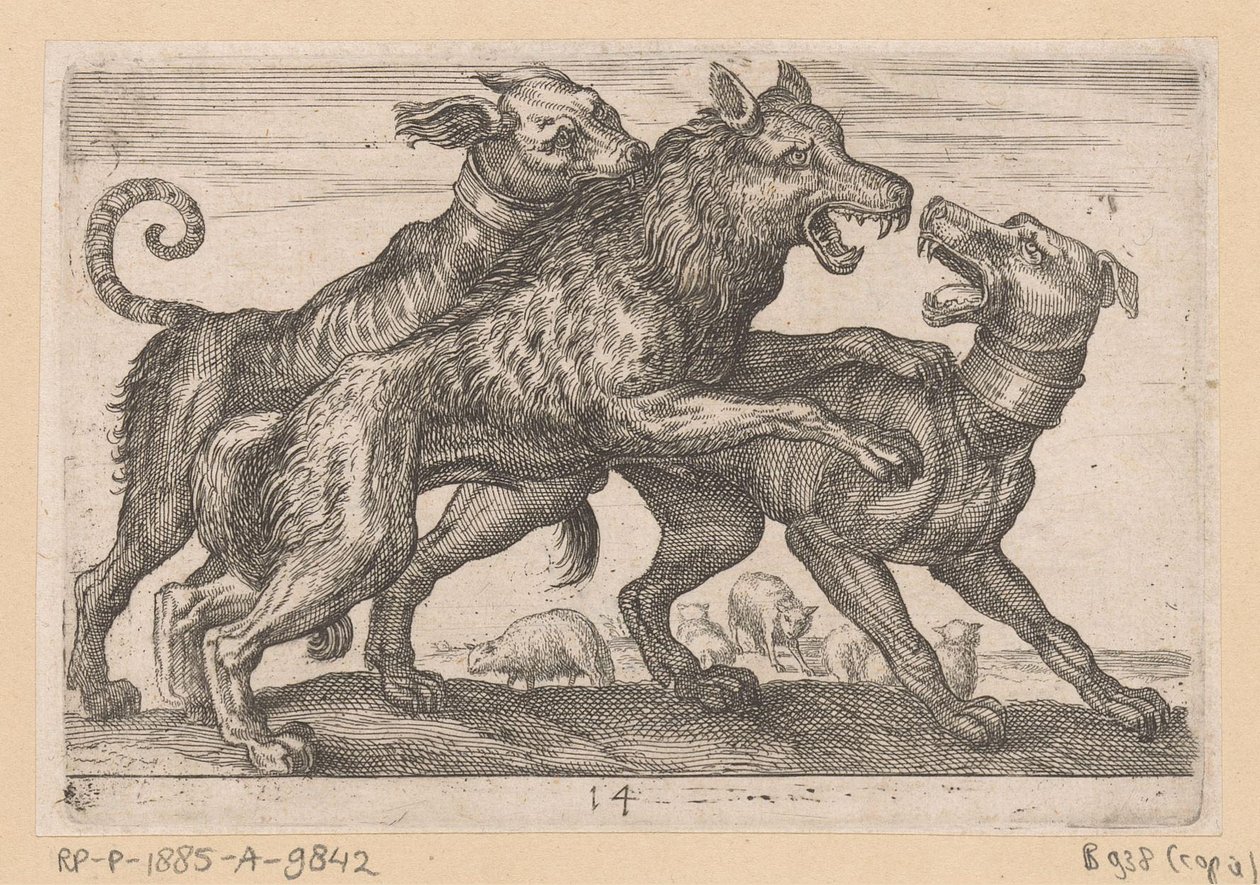 Kaksi koiraa taistelevat suden kanssa Fighting Animals (kopiot) (sarjan nimi) tekijältä Anonymous