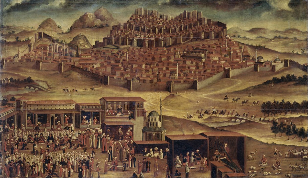 Vista d