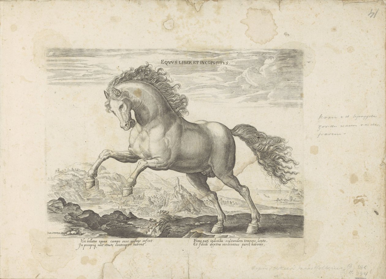 Villi hevonen Equus Liber et Incopositus (otsikko esineessä) Hevonen, jossa kaikenlaisia ​​aatelisia: eri puolilta maailmaa erottuneiden hevosten käyttäytyminen valittu (...) (sarjan nimi esineellä) tekijältä Anonymous