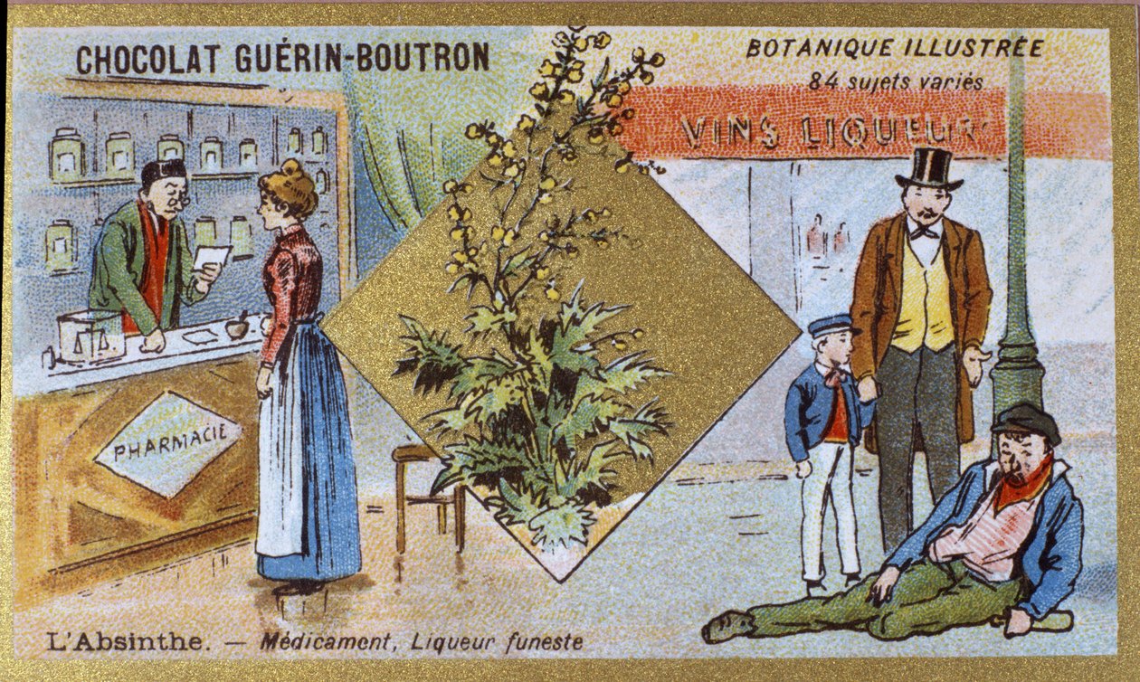 Absintti: lääke ja tappava likööri. Kaiverrus (kromo). Mainoskromolitografia Guerin-Boutron-suklaatille, 1800-luvun loppu. Illustree kasvitieteellinen sarja. tekijältä Anonymous Anonymous