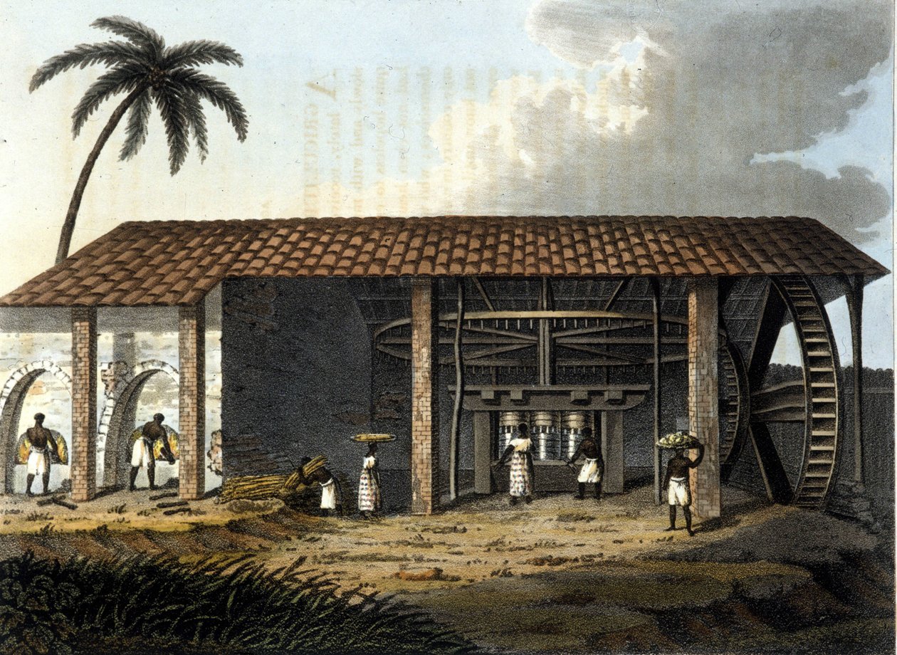 Brasilia, sokeritehdas - "" Vanha ja moderni puku"" 1819 - 1820, Dr. Jules Ferrario, toim. Milan. tekijältä Anonymous Anonymous
