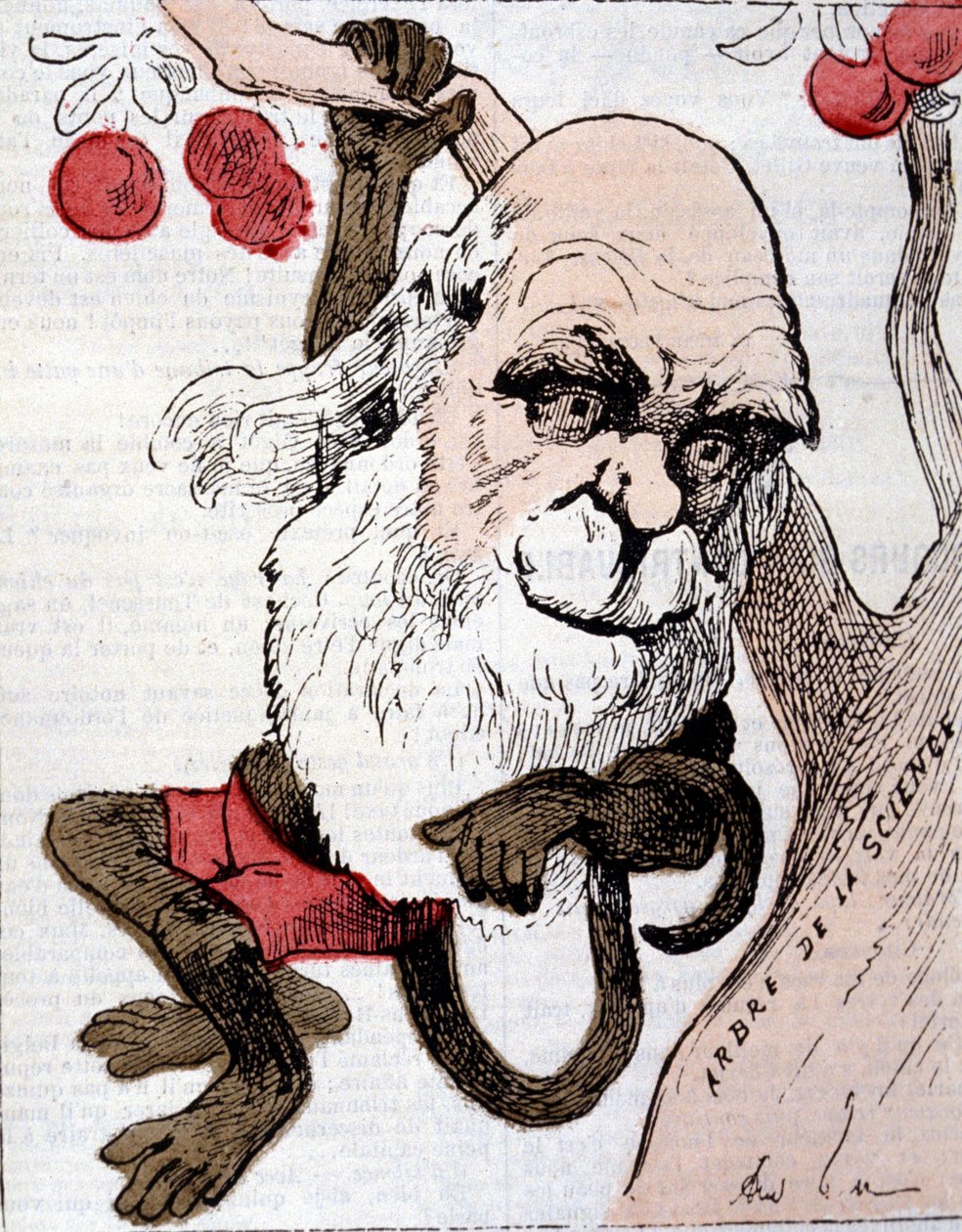 Charles Robert Darwinin (1809 - 1882) karikatyyri elokuvassa "La Lune" tekijältä Anonymous Anonymous