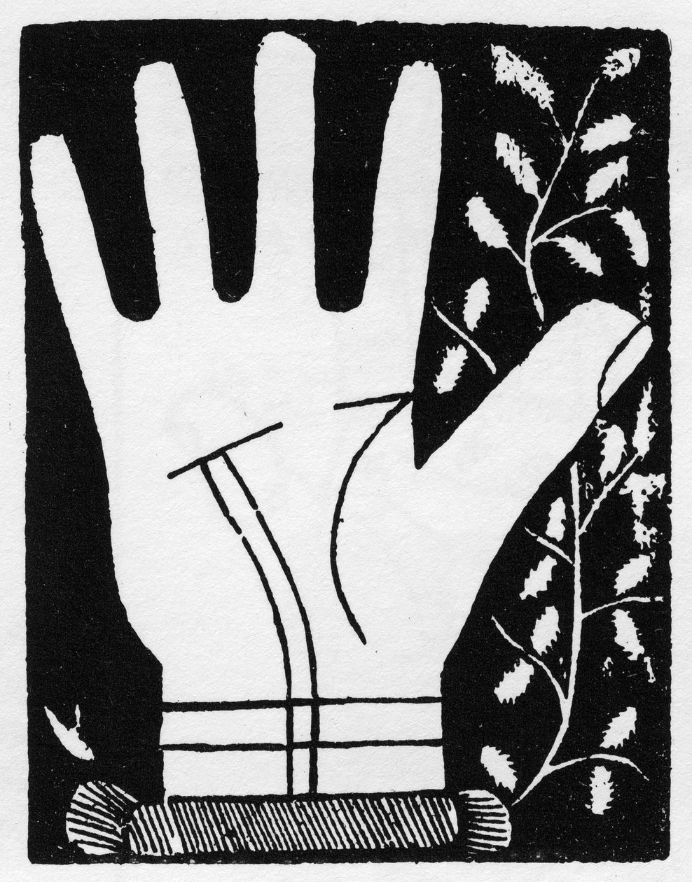 Chiromancia - Kaksinkertainen aurinkoviiva murtuu keskeltä - Kaiverrus 1545 Andre Corvon "The Art of Chyromance" -yksityiskokoelma tekijältä Anonymous Anonymous