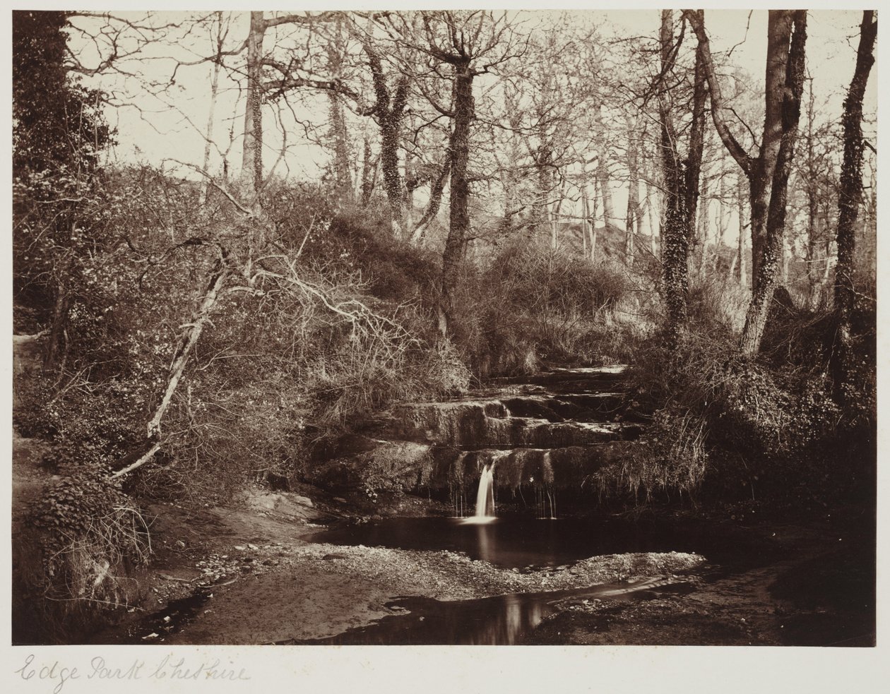 Edge Park, Cheshire, n.1865 (valokuva lasinegatiivista). tekijältä Anonymous Anonymous