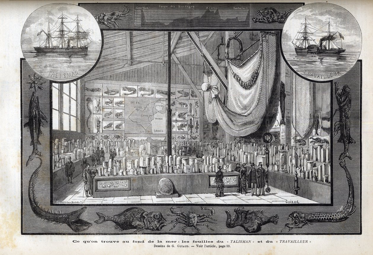 Näyttely Pariisin luonnontieteellisessä museossa risteilyjen aikana muodostuneista kokoelmista - Työläisen ja Talismanin tieteelliset tutkimusmatkat vuosina 1880 tekijältä Anonymous Anonymous