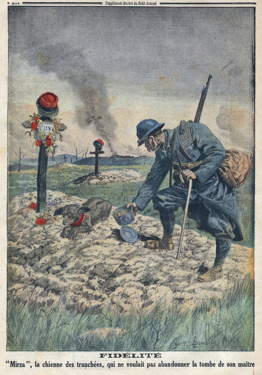 Ensimmäinen maailmansota 1914-1918 (sota 14-18). Koira, joka kieltäytyy hylkäämästä kuolleen isäntänsä hautaa. "" Le Petite Journal" -lehdessä, 10.9.1916. Yksityinen kokoelma tekijältä Anonymous Anonymous