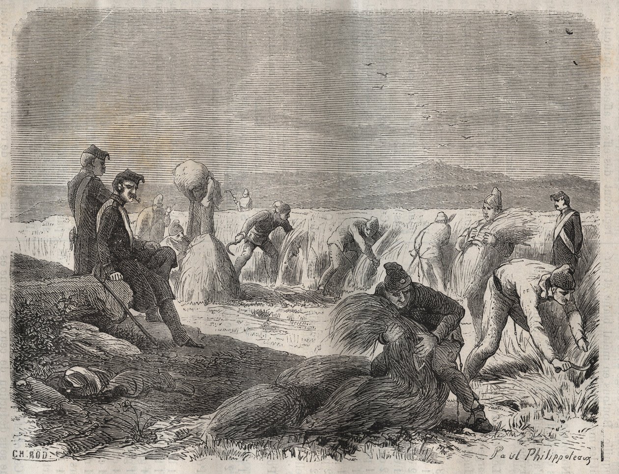 Sadonkorjuujoukot Belle-Ile-en-Merin vankilassa (kaunis saari merellä) 1800-luvulla. Pierre Zacconen (1817-1895) (1817-1895) (Colonia Penale - Penal Colony) kaiverrus kirjaan ”Vangoitujen historia heidän luomisestaan ​​nykypäivään” (1877). Yksityinen kokoe tekijältä Anonymous Anonymous