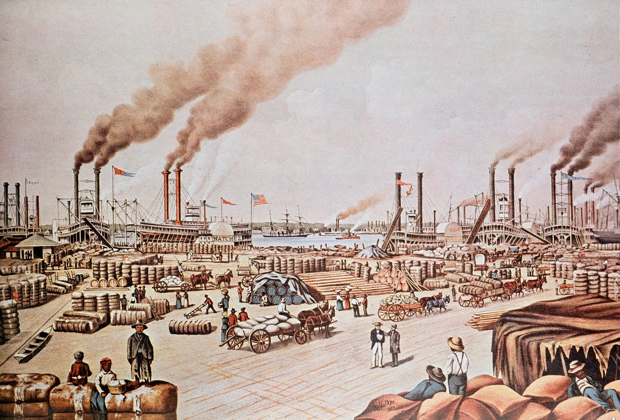 New Orleans Harbor Wharf (Yhdysvallat): Cotton Loading. 1876. Yksityinen kokoelma. tekijältä Anonymous Anonymous