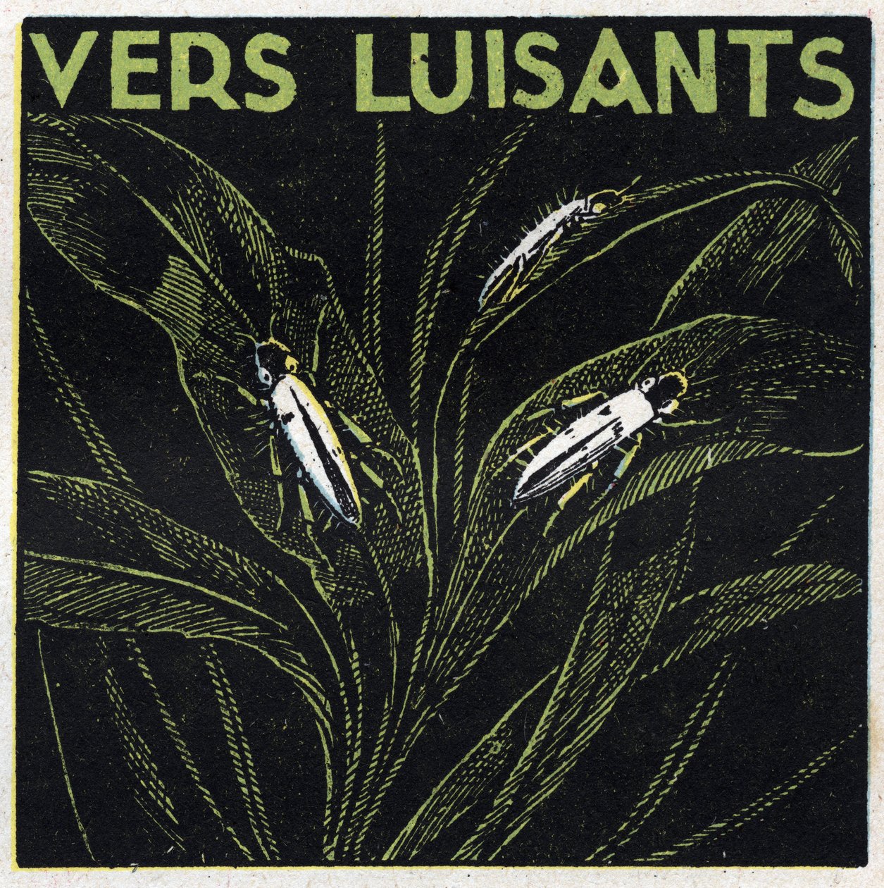 Fosforesenssi: hehkuvia vihreitä. Nimetön kuvitus vuodelta 1925. Yksityinen kokoelma. tekijältä Anonymous Anonymous