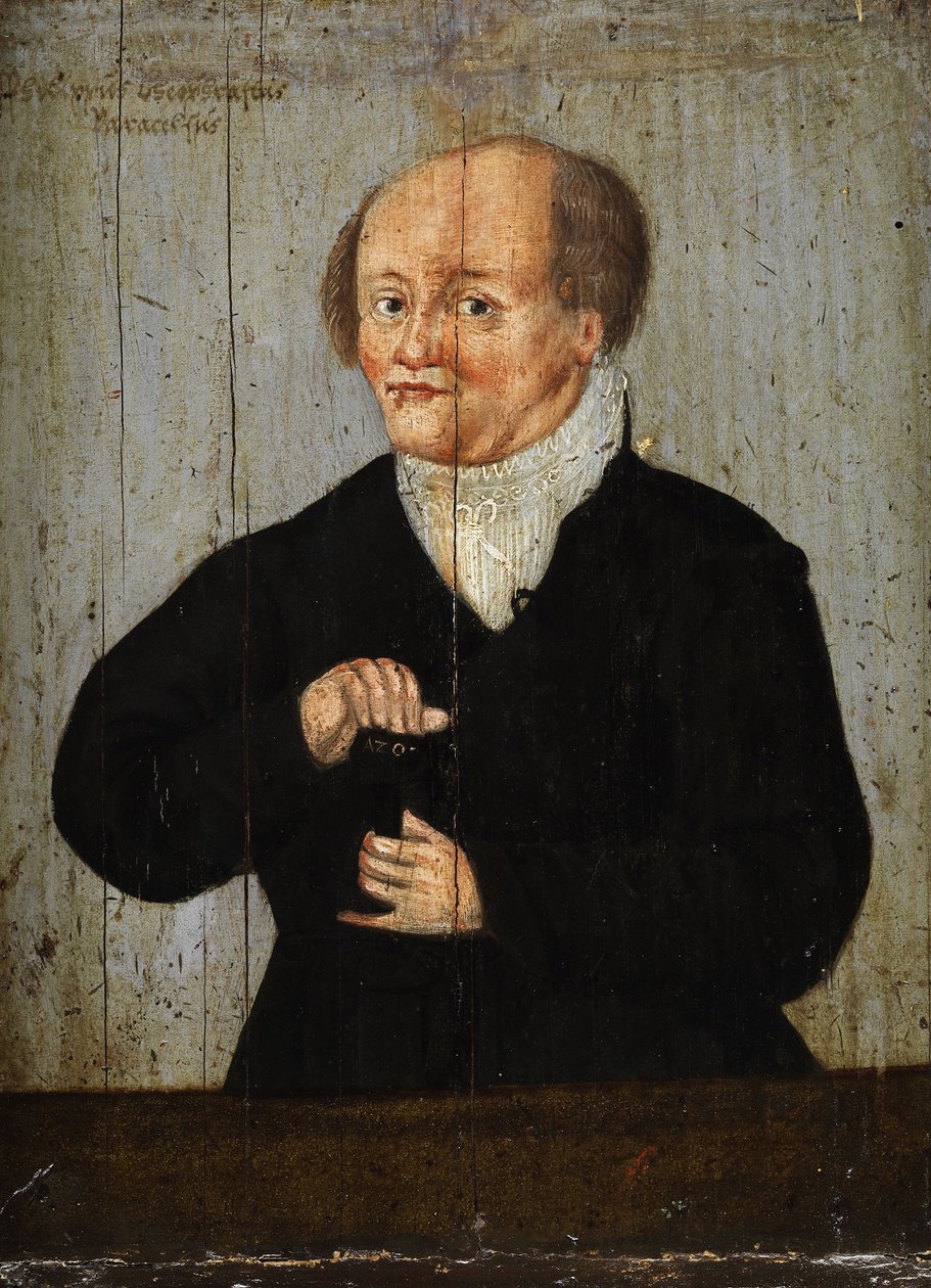 Portrait du medecin Paracelse (Philippus Theophrastus Aureolus Bombastus von Hohenheim tekijältä Anonymous Anonymous