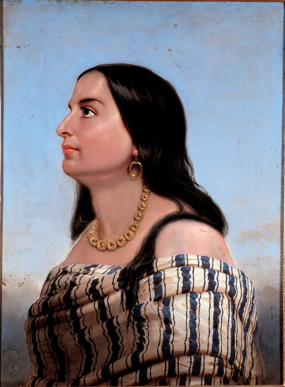 Anonyymin Giuseppe Garibaldin maalauksen vaimon muotokuva Anita Garibaldista (1821-1849). Yksityinen kokoelma tekijältä Anonymous Anonymous