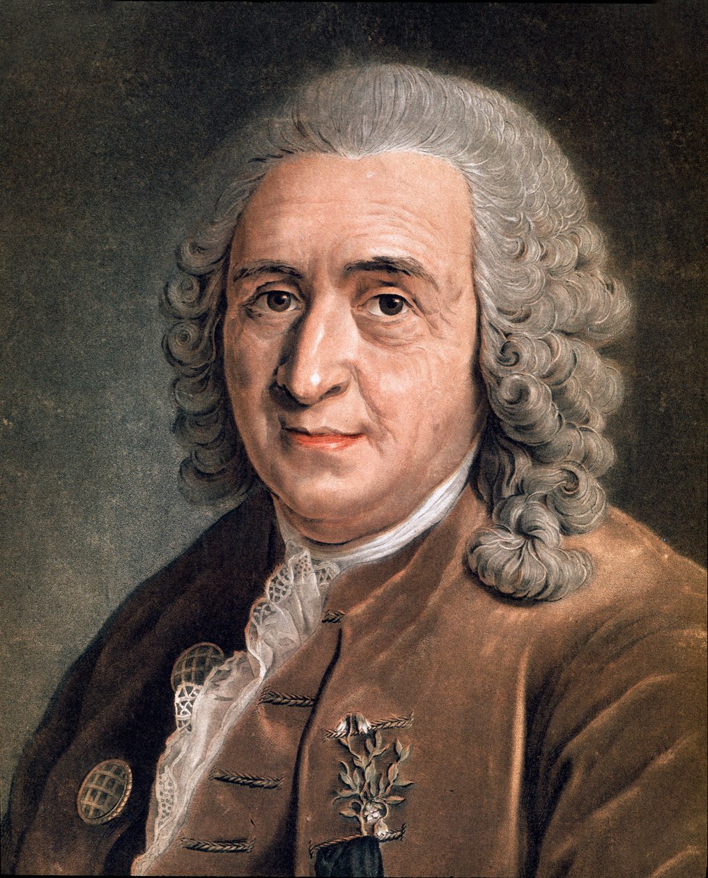 Muotokuva Charles Linnesta (Carl von Linne, Linneus 1707 - 1778), ruotsalainen luonnontieteilijä Anonyymi maalaus. 1700-luvulla. Milano, yksityinen kokoelma tekijältä Anonymous Anonymous