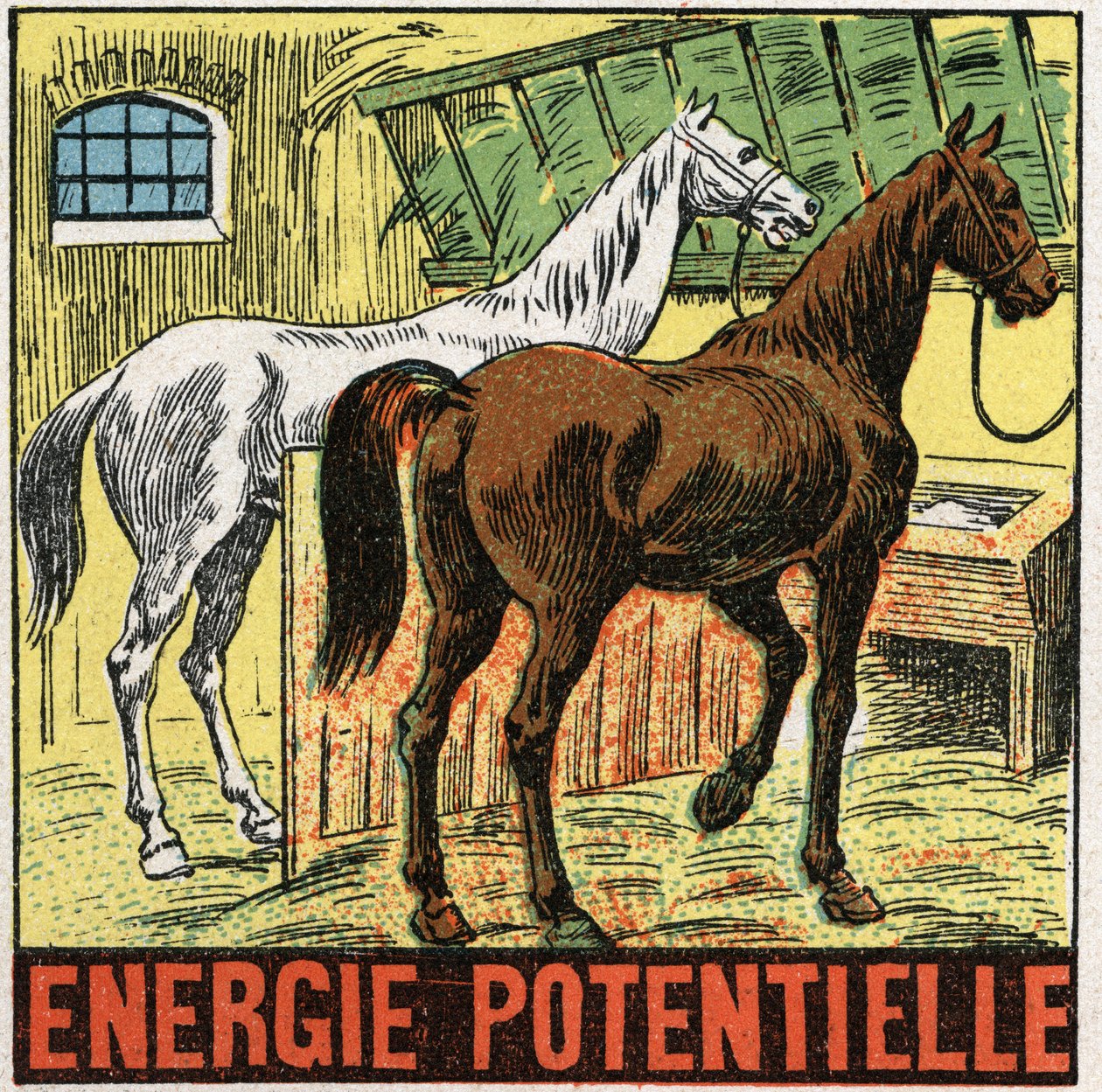 Potentiaalinen energia: hevoset lepäävät tallissa. Anonyymi kuvitus vuodelta 1925. Yksityiskokoelma. tekijältä Anonymous Anonymous