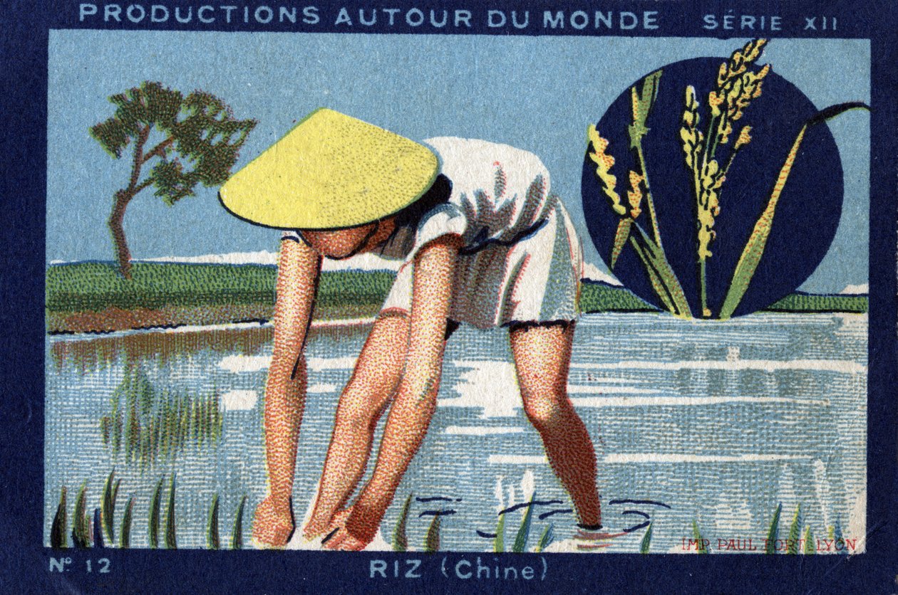 Produccions arreu del món: Arròs a la Xina. 1933 Cromolitografia en finès “Joseph-Milliat Album”. tekijältä Anonymous Anonymous