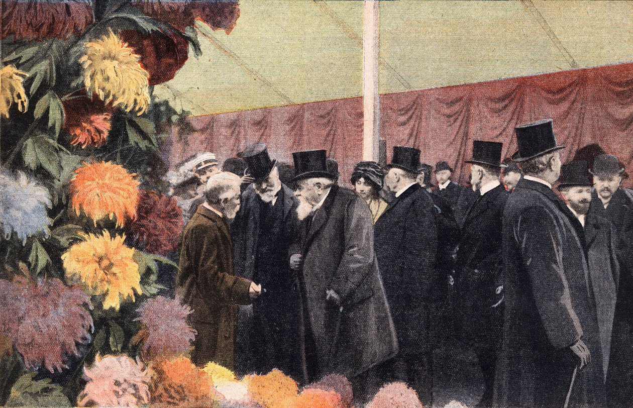 Krysanteemajuhlat: virallinen krysanteeminäyttely. Kaiverrus. Yksi sanomalehdestä "" Le petit parisien"" 20.11.1910. Yksityinen kokoelma. tekijältä Anonymous Anonymous