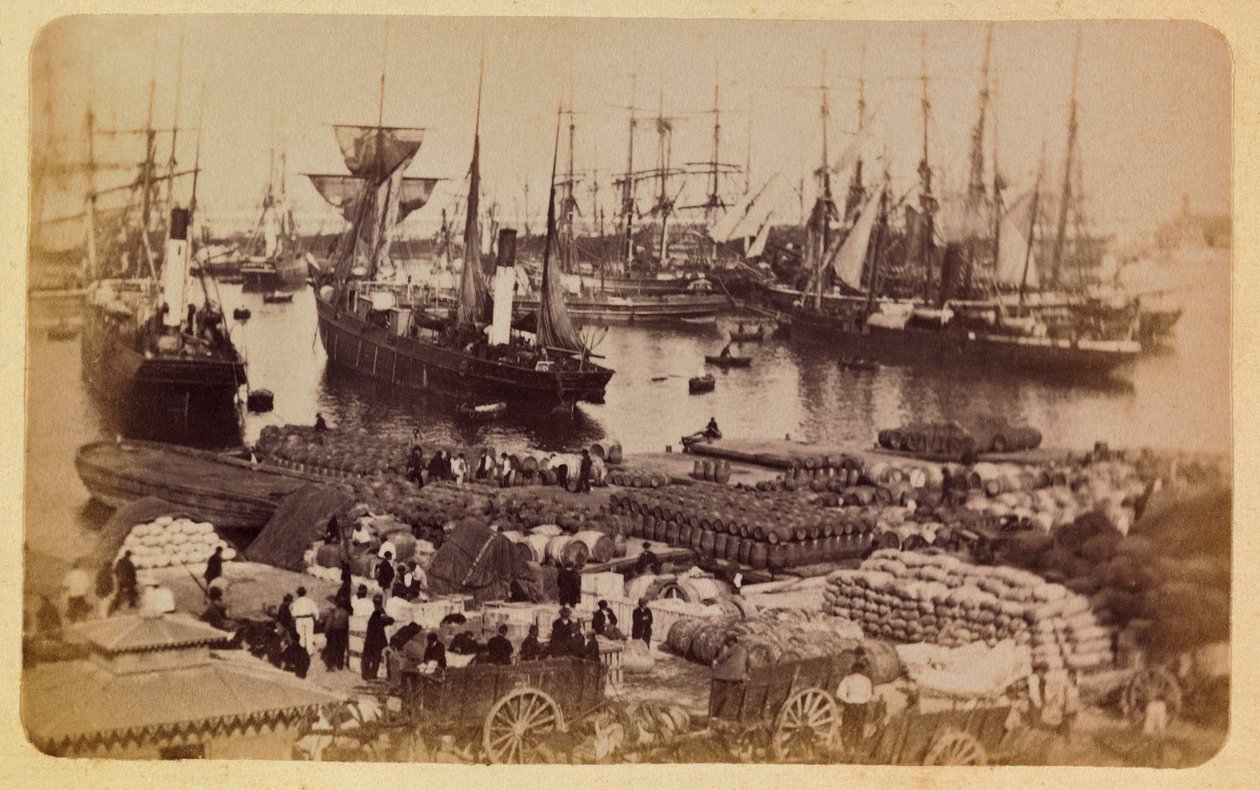 Marseillen kaupunki ympäristöineen noin 1885 - 1890: Bassin de la Joliette, kissojen lastilautailu, Yksityinen kokoelma tekijältä Anonymous Anonymous