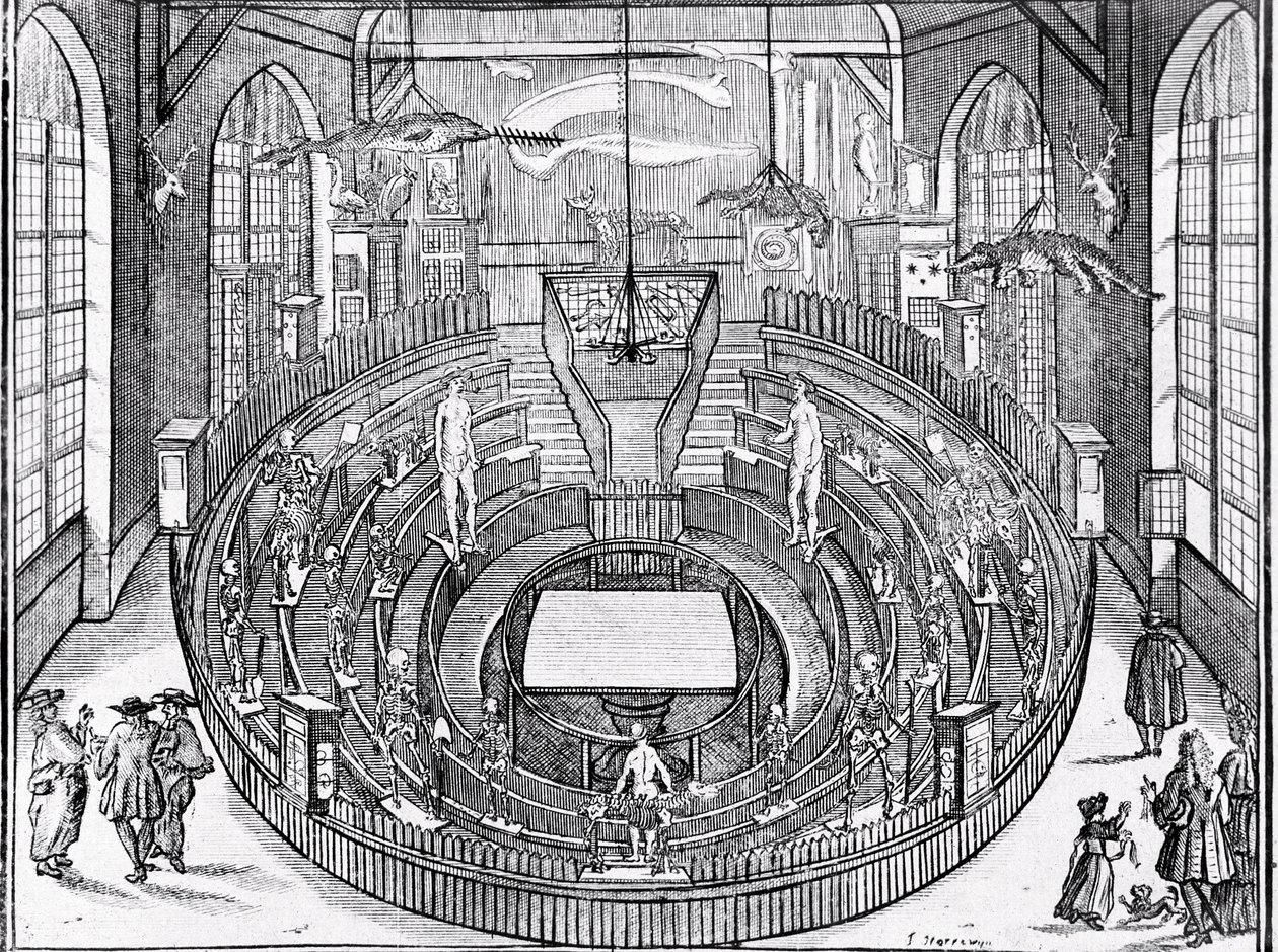 Näkymä anatomisesta teatterista luultavasti Leidenin yliopistossa 1600-luvun alussa (kaiverrus) tekijältä Anonymous Anonymous