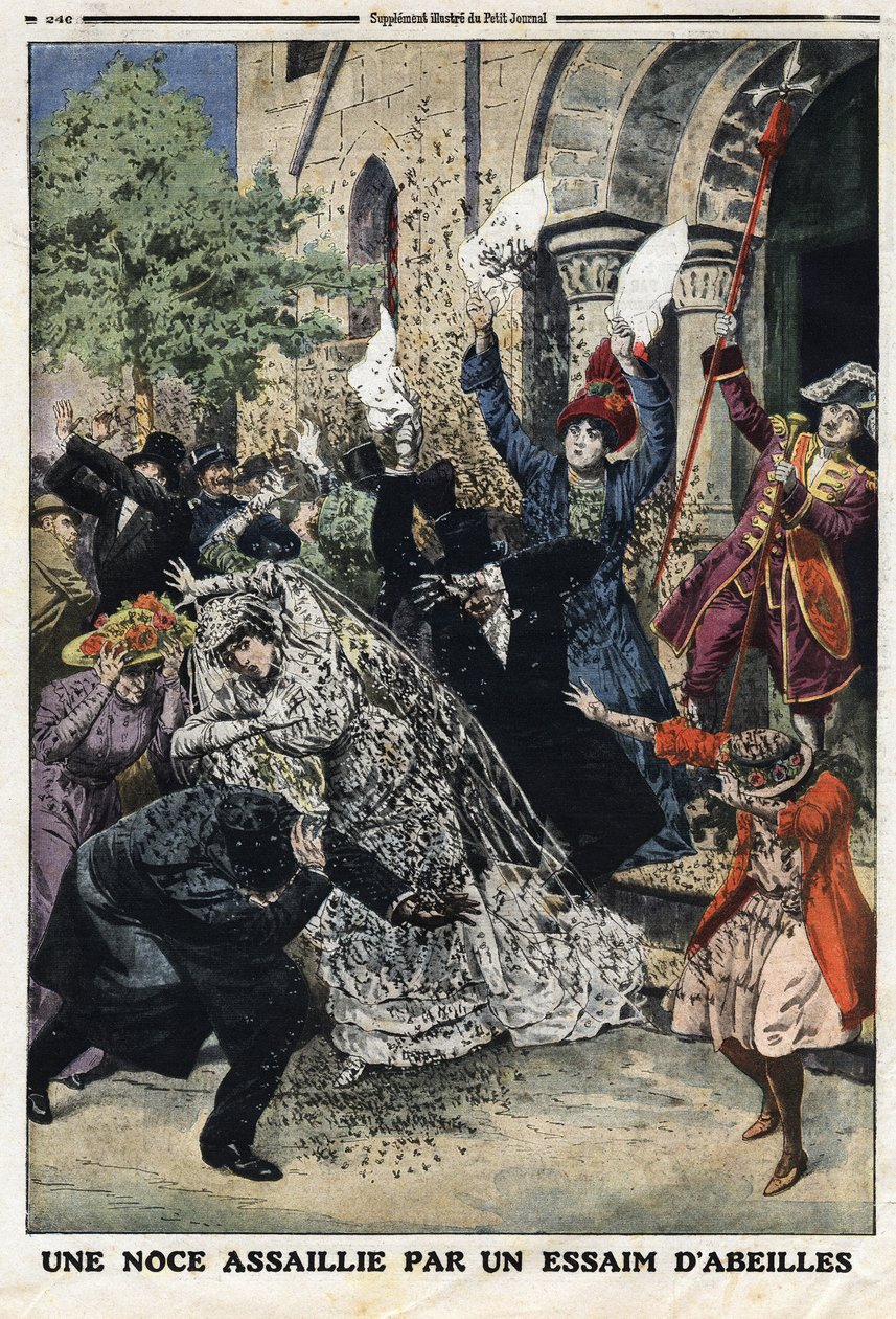 Mehiläisparvi hyökkäsi häihin. Kaiverrus "" Le Petite Journalissa" 28.7.1912. Yksityinen kokoelma. tekijältä Anonymous Anonymous