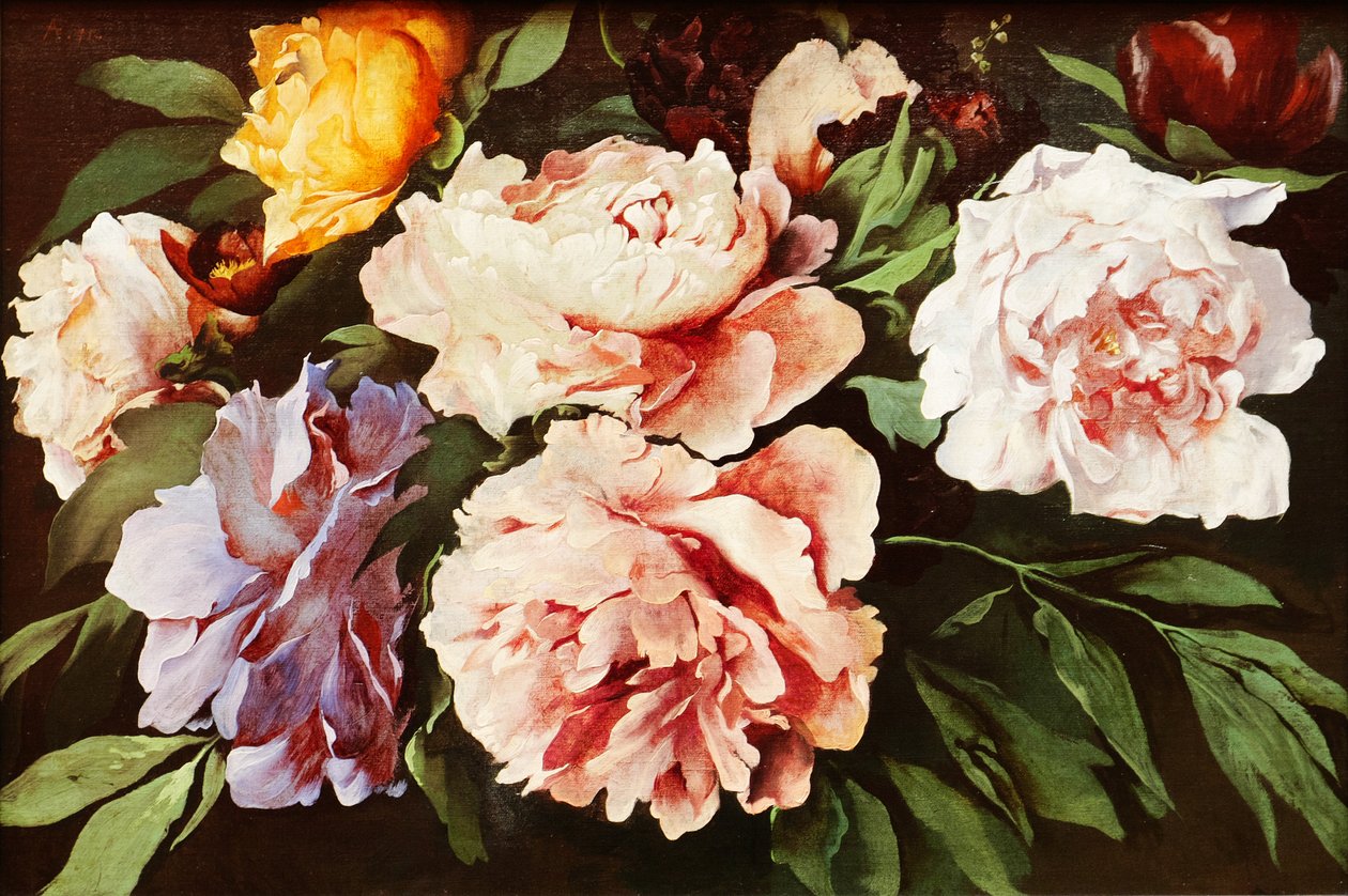 Pionit tekijältä Anselm Feuerbach