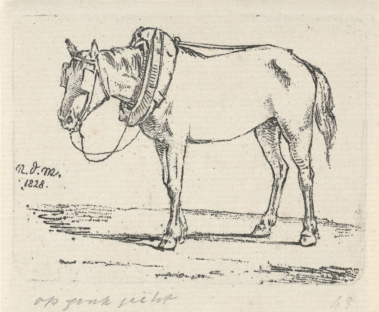 keksitty hevonen tekijältä Anthonie Willem Hendrik Nolthenius de Man