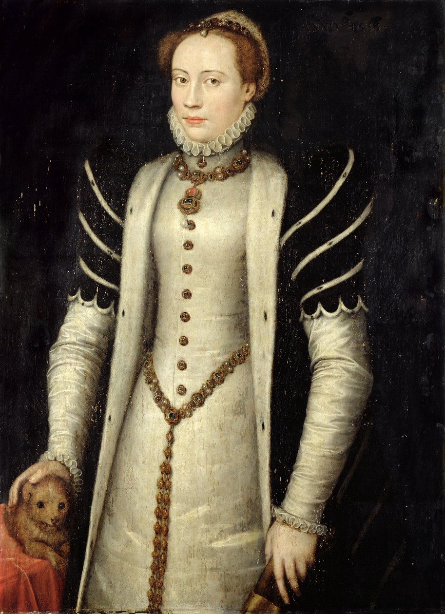 Muotokuva aatelisnaisesta ja koiranpentu, 1555 (öljy tammilevylle) tekijältä Anthonis Mor
