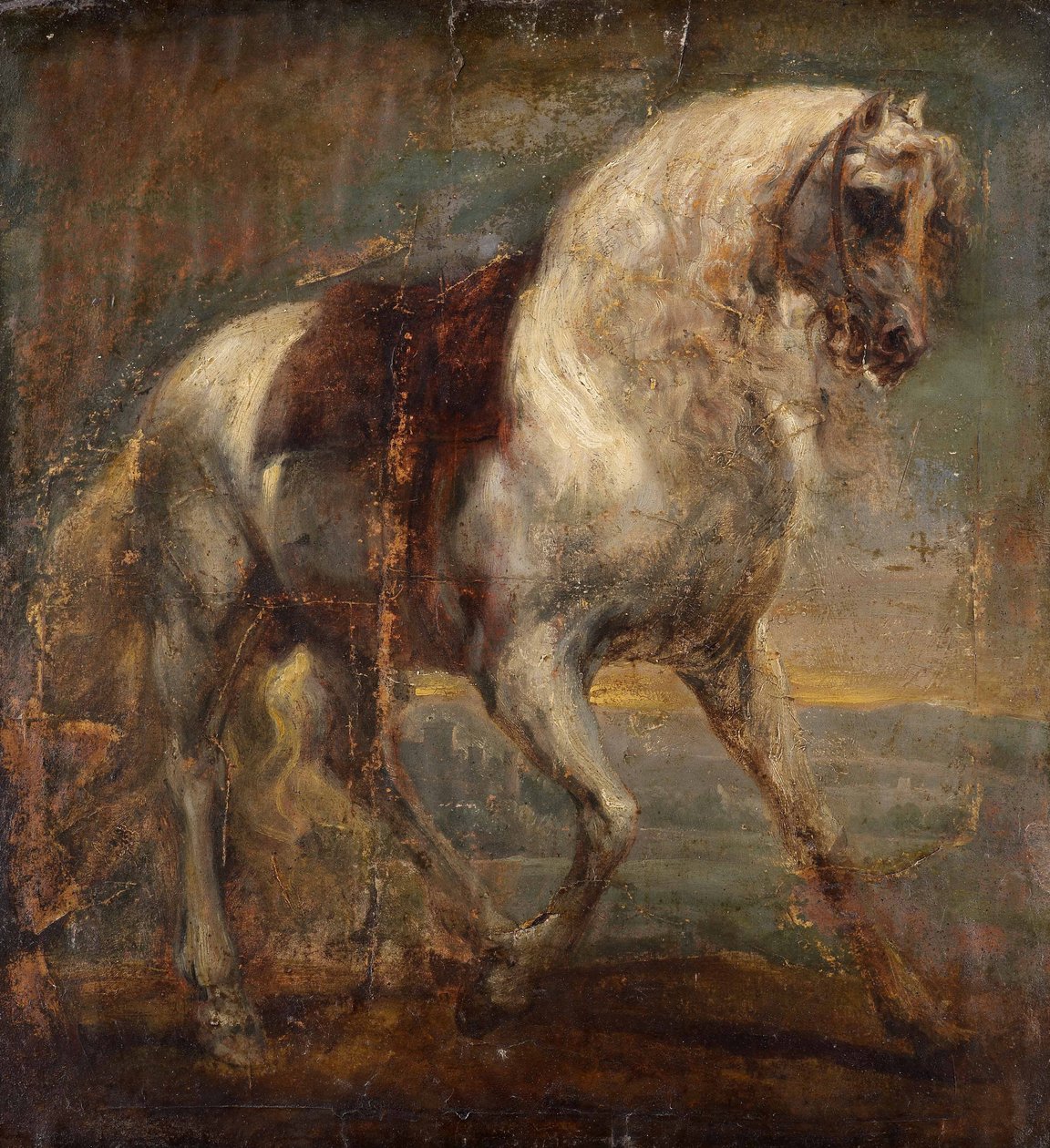 Harmaa hevonen tekijältä Anthony van Dyck