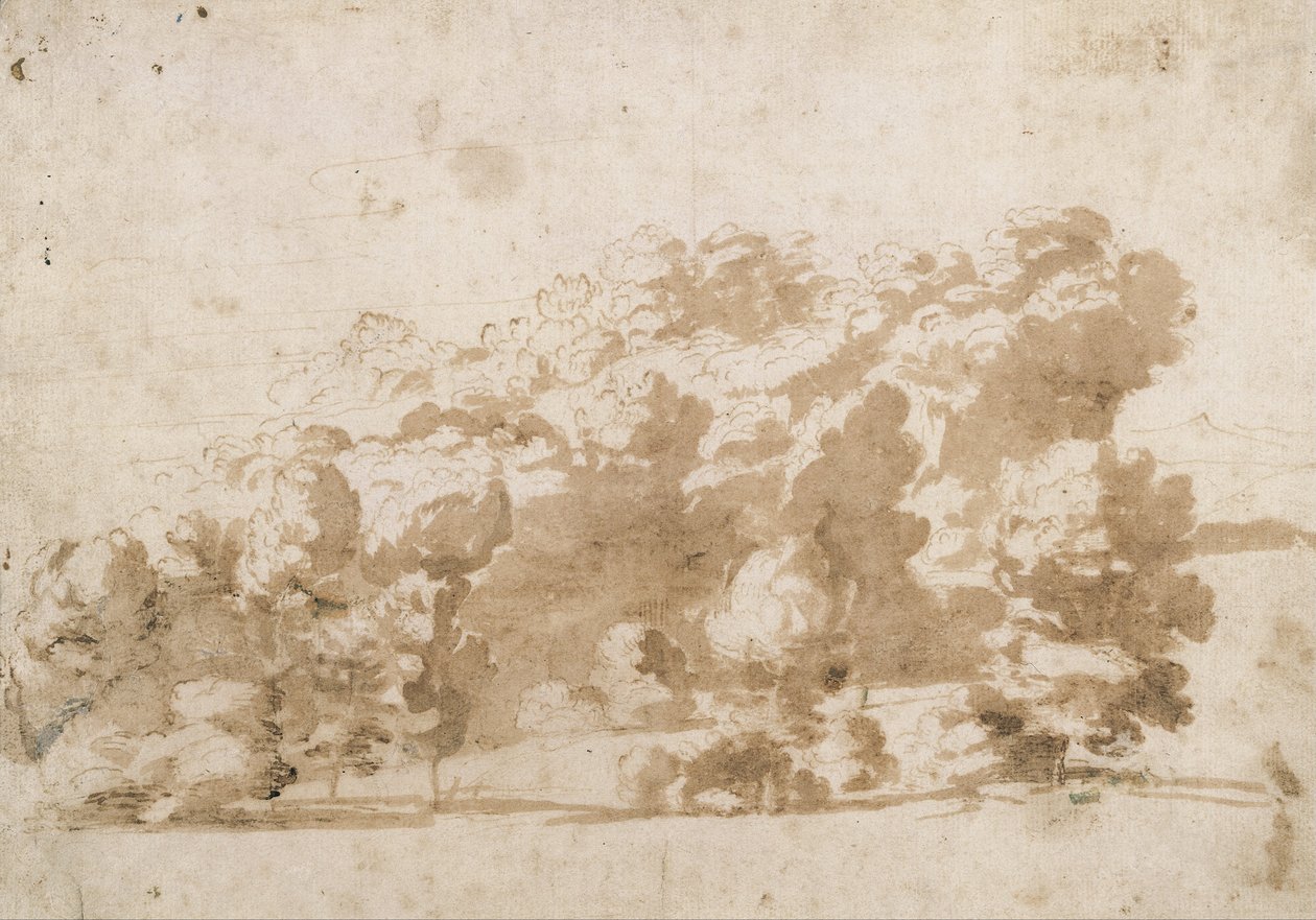 Metsäinen harju tekijältä Anthony van Dyck