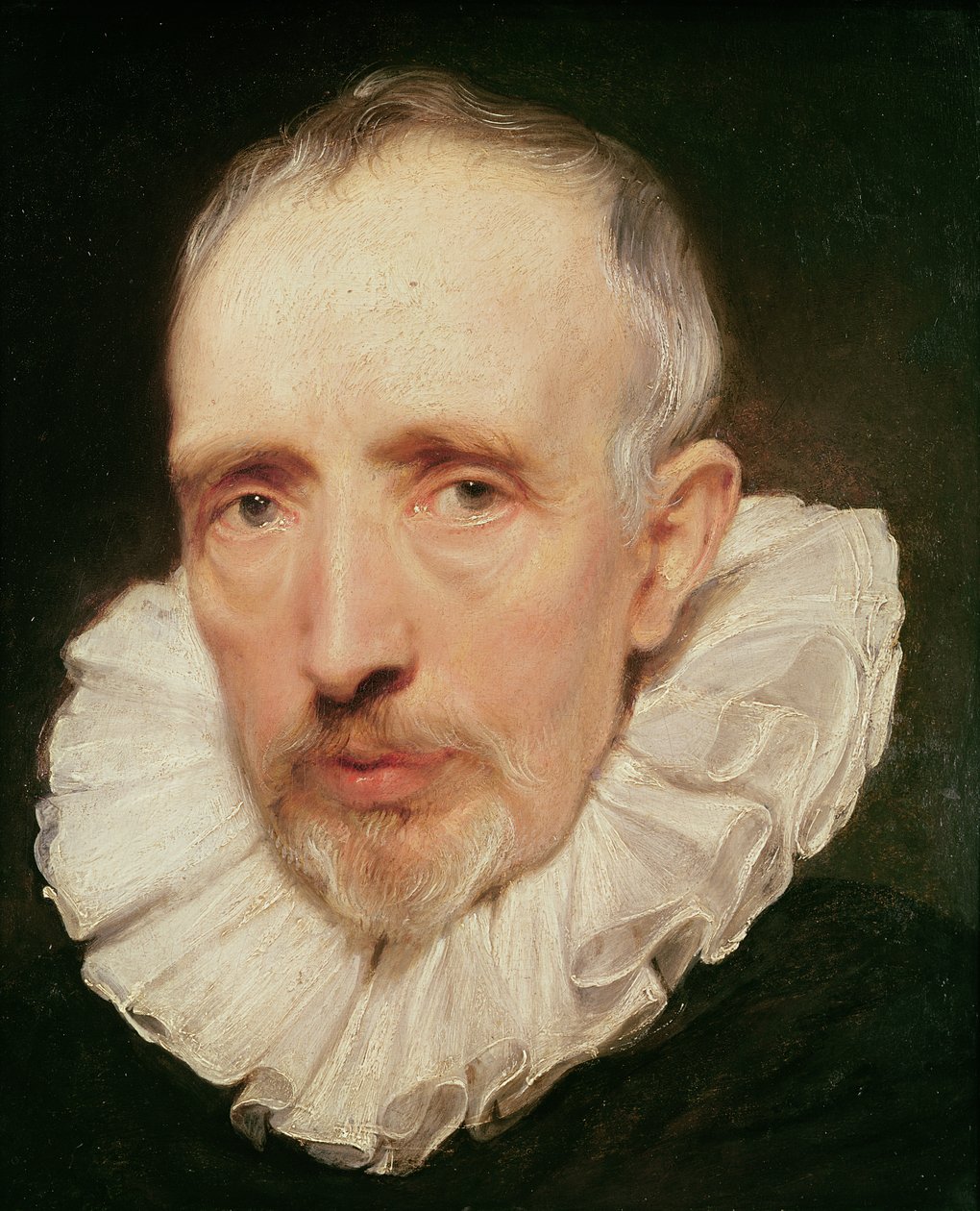Cornelis van der Geestin muotokuva, n. 1620 (öljy tammella) tekijältä Anthony van Dyck