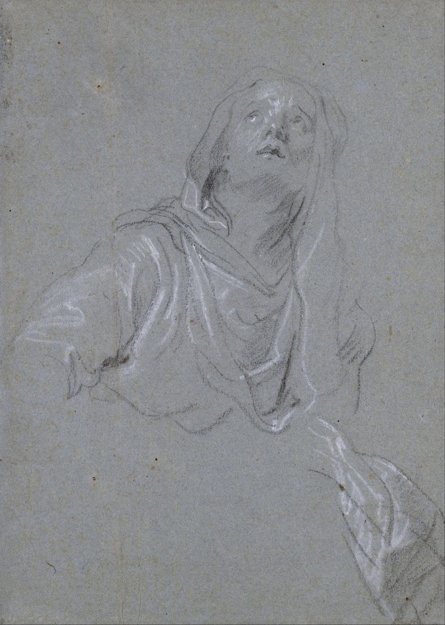Tutkimus Madonnasta, joka katsoo ylöspäin tekijältä Anthony van Dyck