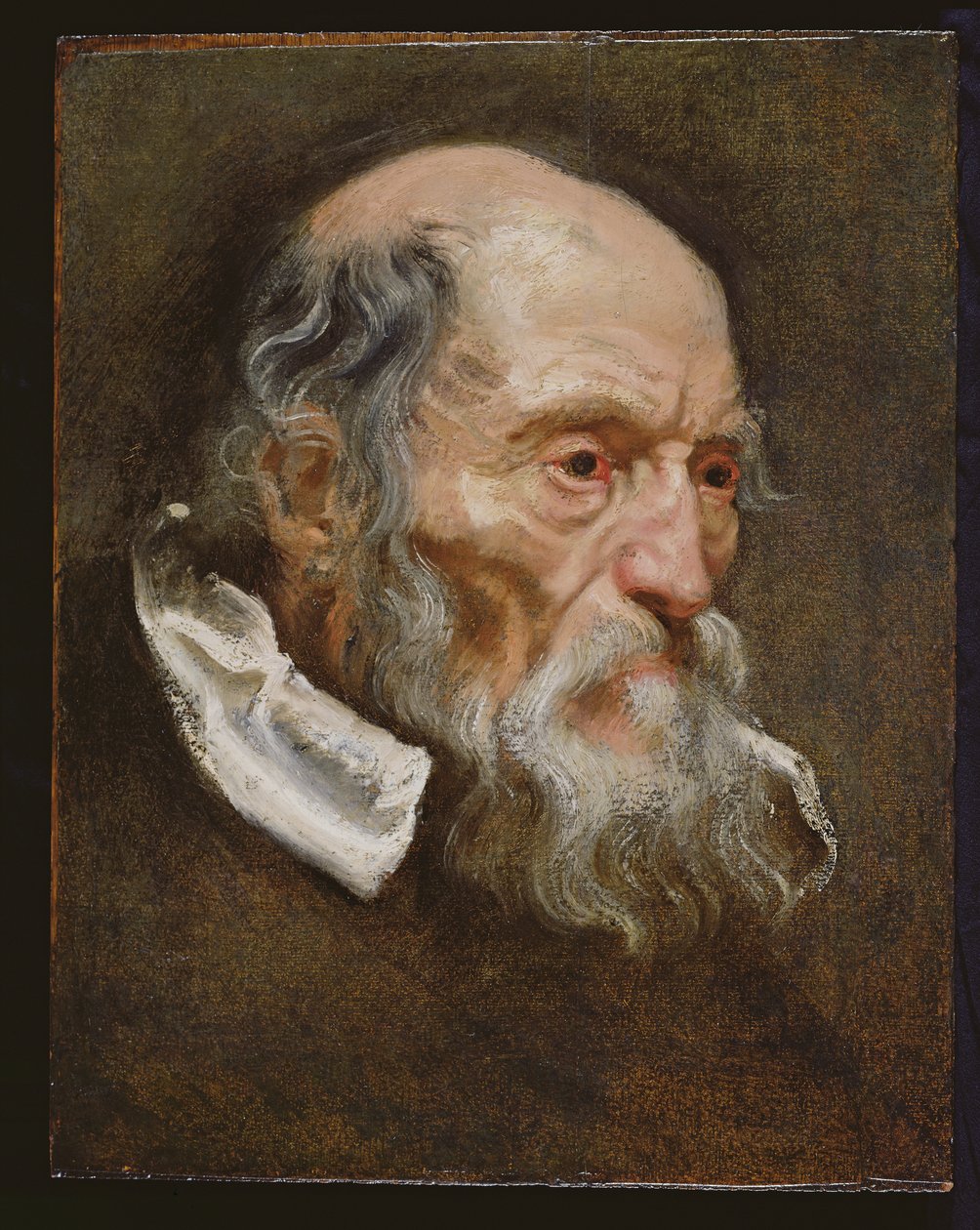 Vanhan miehen muotokuva tekijältä Anthony van Dyck