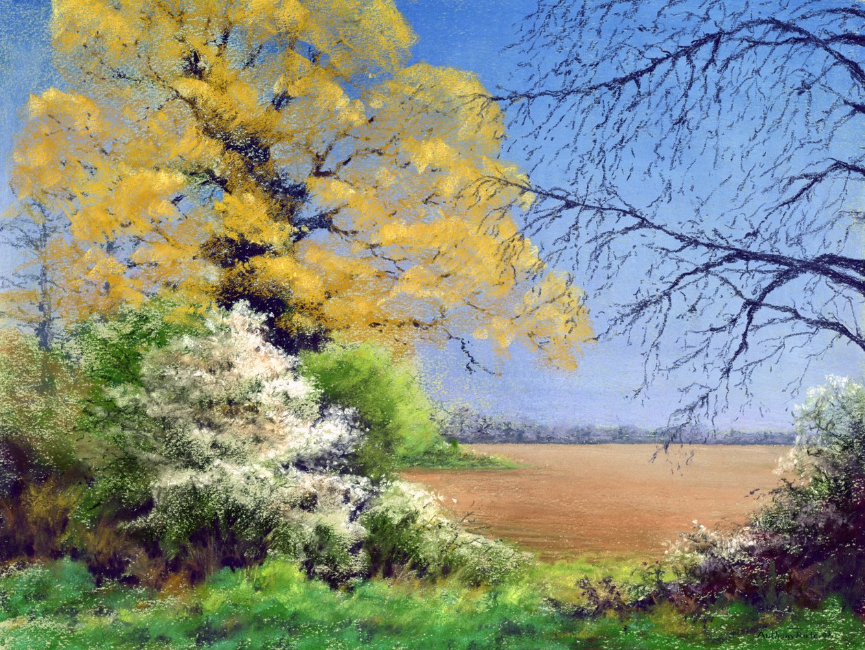 Blackthorn Winter, 2003 tekijältä Anthony Rule