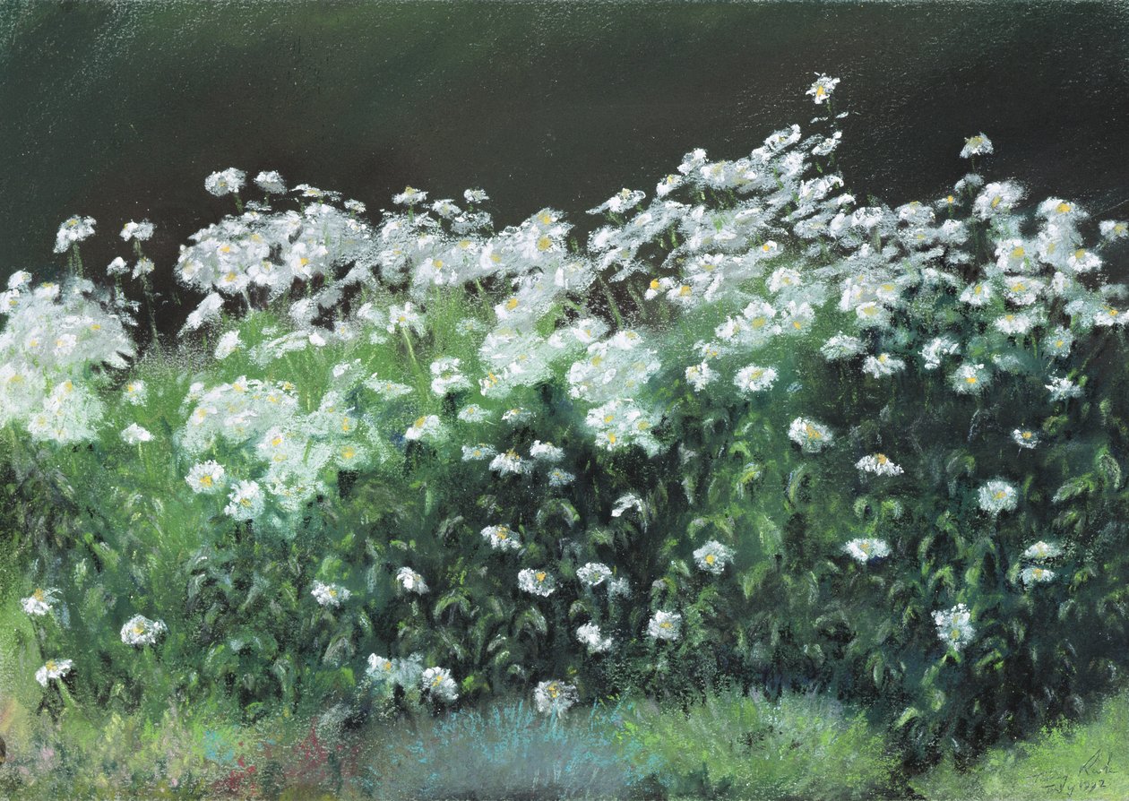 Shasta Daisies, 1992 tekijältä Anthony Rule
