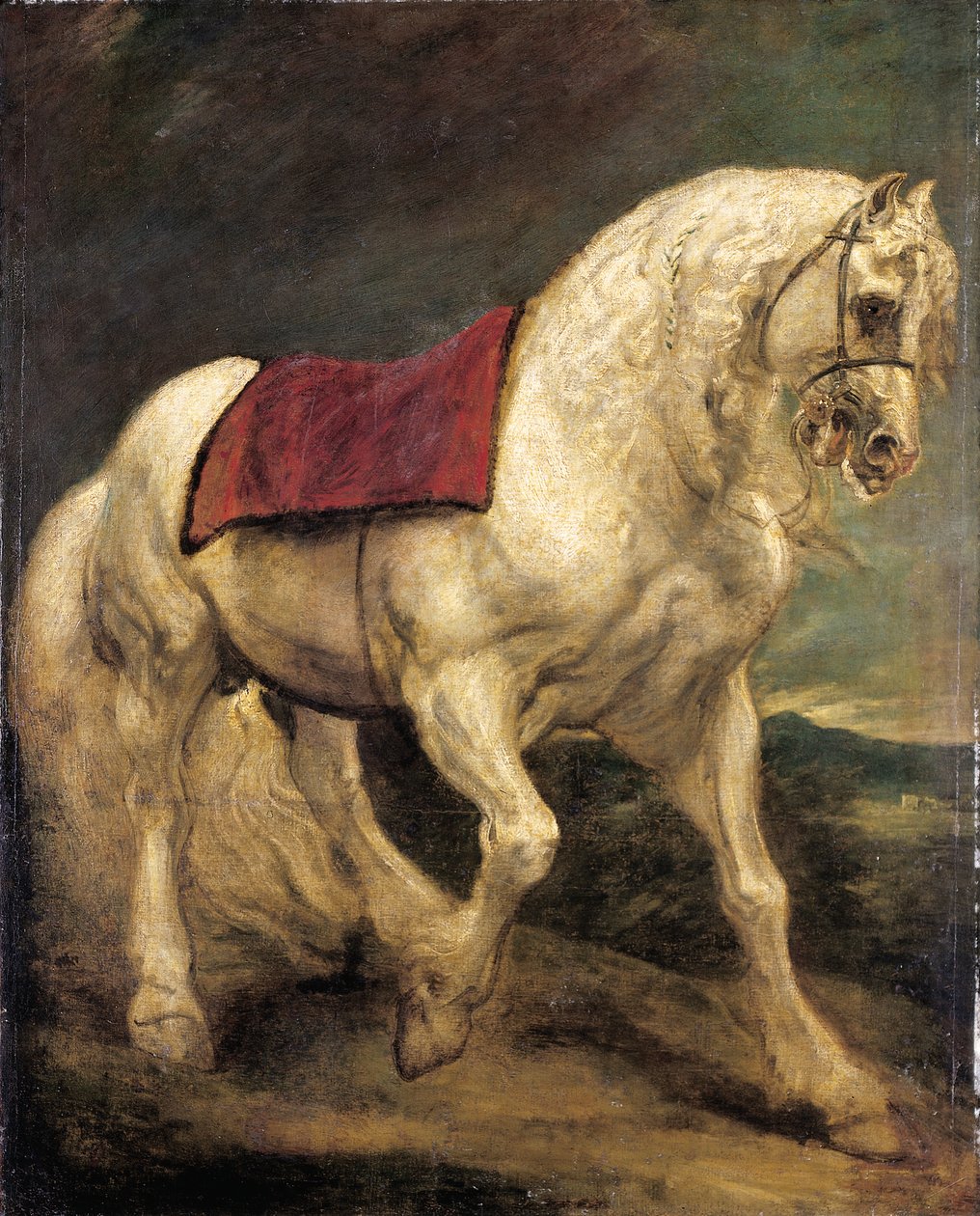 Suitsettu harmaa ori, jossa satulakangas ja osittain palmikoitu harja: mallio tekijältä Anthony van Dyck