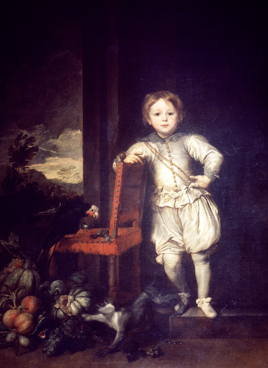 Lapsi valkoisessa mekossa, kirjoittanut Anthony van Dyck (1599-1641) tekijältä Anthony van Dyck