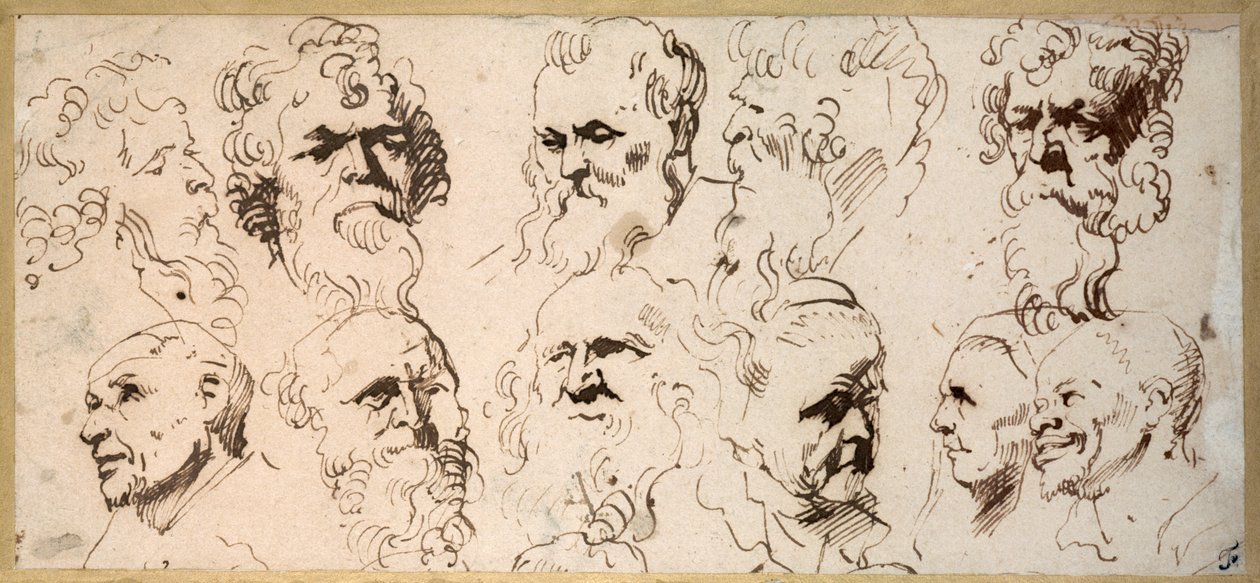 Yksitoista päätutkimusta (kynä ja ruskea muste paperille) tekijältä Anthony van Dyck