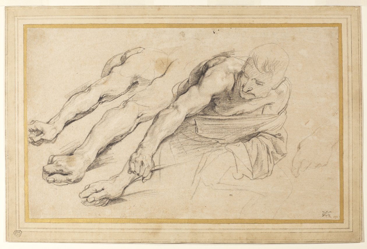 Kuva miehestä, joka kumartuu eteenpäin oikea käsi ojennettuna; kolme tutkimusta oikeasta kädestä ja yksi vasemmasta kädestä samalle hahmolle (liitu paperille) tekijältä Anthony van Dyck