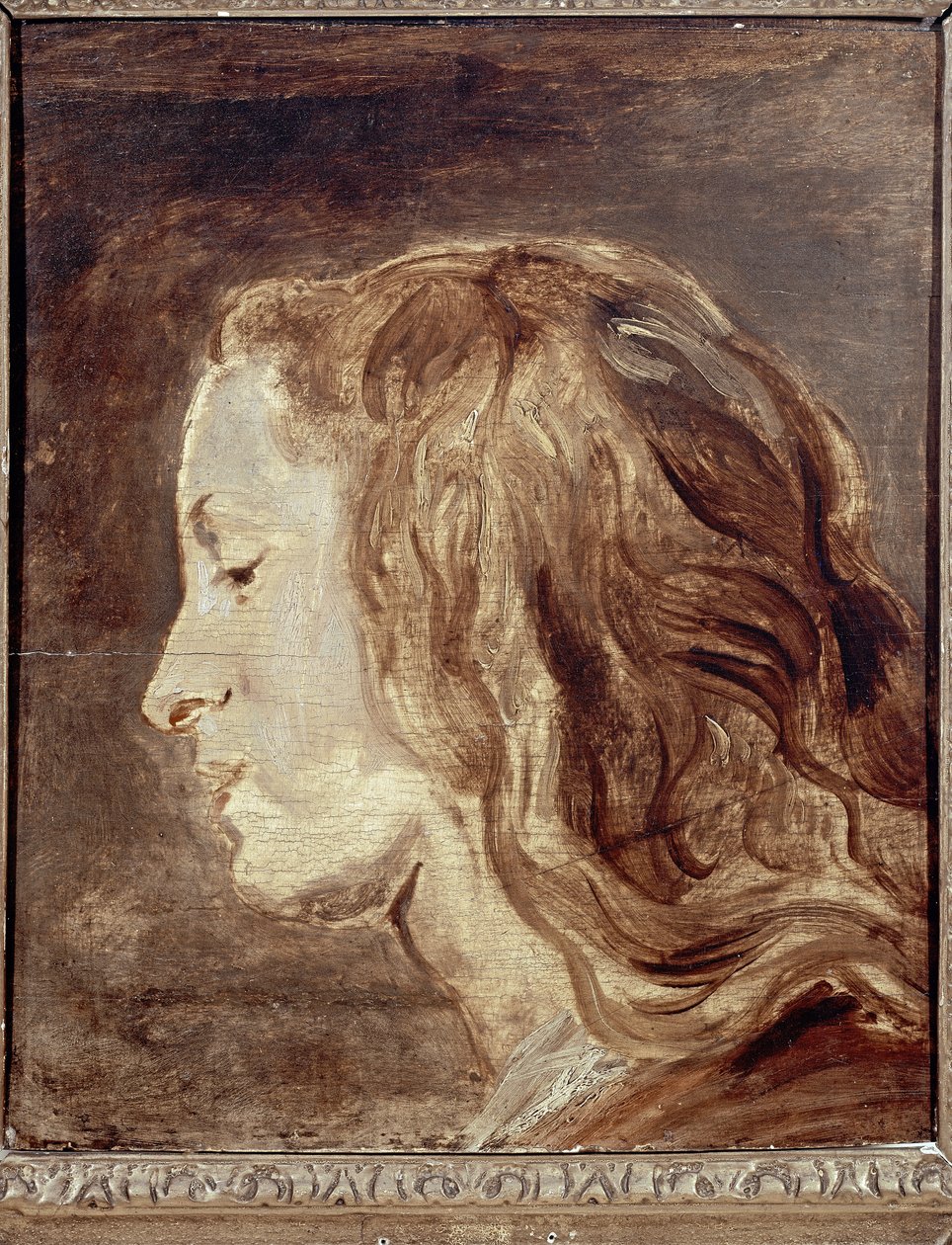 Head Study, 1600-luvun ensimmäinen puolisko (öljy aluksella) tekijältä Anthony van Dyck