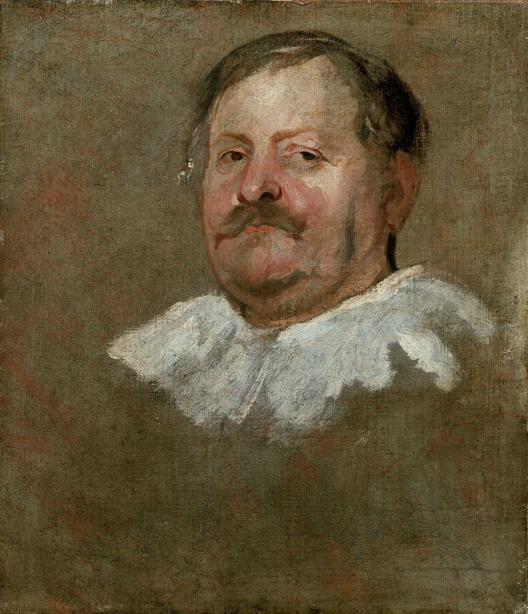 Parrakkaan miehen pää, jolla on Falling Ruff, 1628 tekijältä Anthony van Dyck