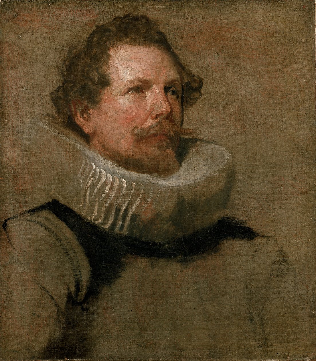 Parrakkaan miehen pää, jolla on Wheel Ruff, 1600-luku tekijältä Anthony van Dyck
