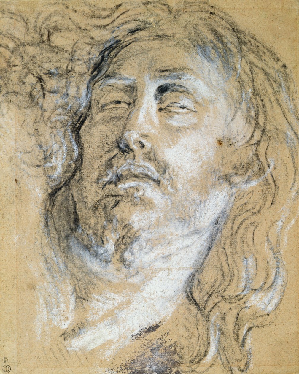 Kuolleen Kristuksen pää (hiili ja liitu paperille) tekijältä Anthony van Dyck