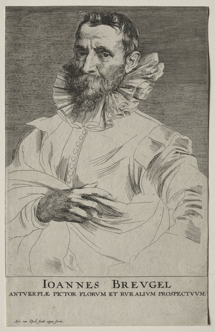 Jan Brueghelin muotokuva tekijältä Anthony van Dyck
