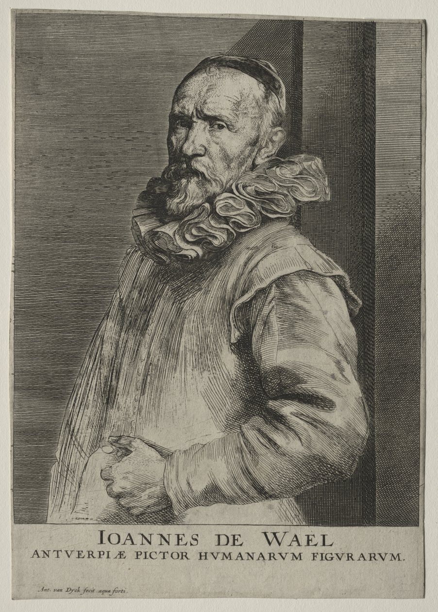 John de Wild Neversin muotokuva tekijältä Anthony van Dyck