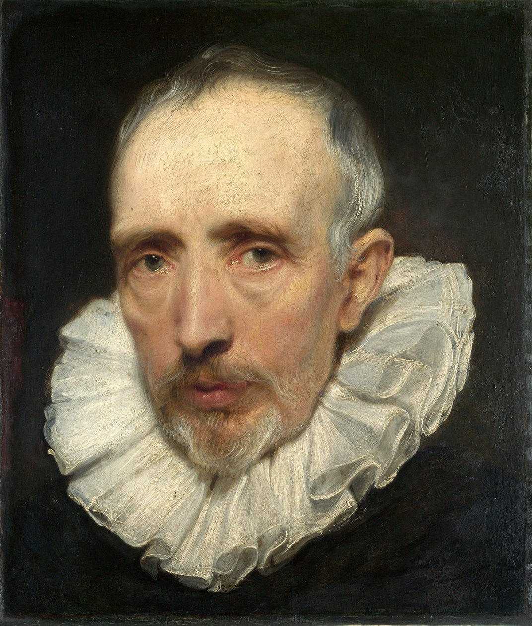 Cornelis van der Geestin muotokuva tekijältä Anthony van Dyck