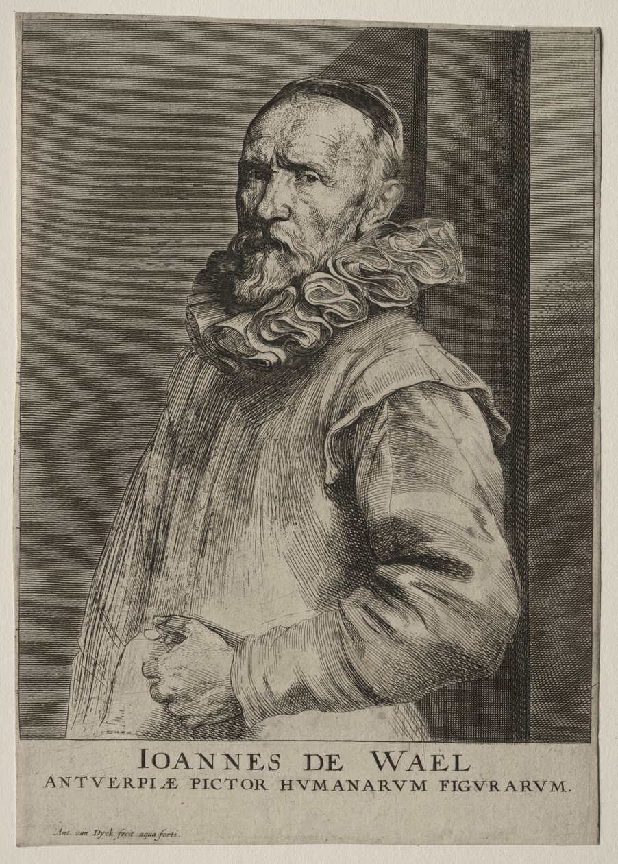 Jan de Wael Neversin muotokuva. tekijältä Anthony van Dyck