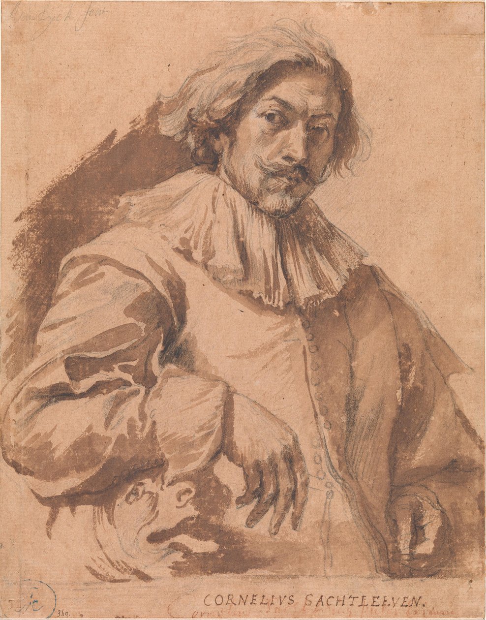 Cornelis Saftlevenin muotokuva tekijältä Anthony van Dyck