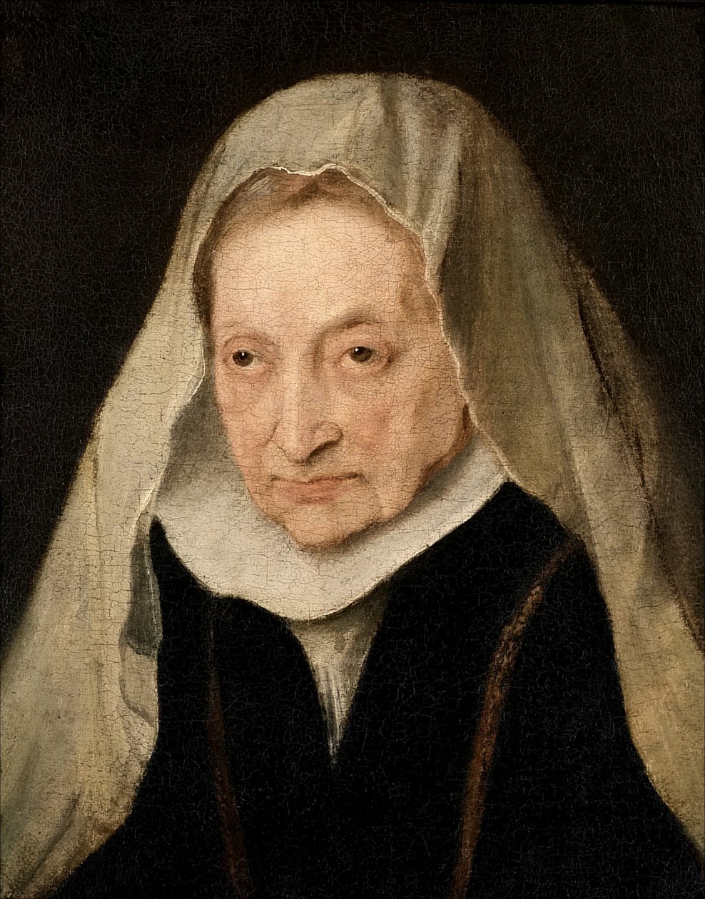 Sofonisba Anguissola (Cremona 1530/6-1625) tekijältä Anthony van Dyck