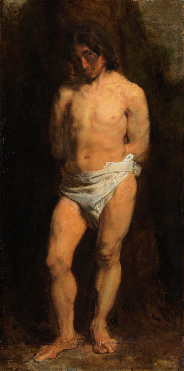 Tutkielma alastomasta nuorukaisesta tekijältä Anthony van Dyck